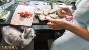 healthy grain-free treats for cats 