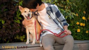 Adjustable Leather Collars for Dogs