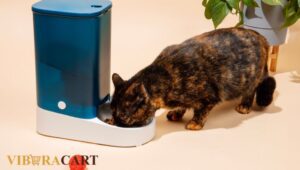Automatic Pet Feeders for Multiple Cats 
