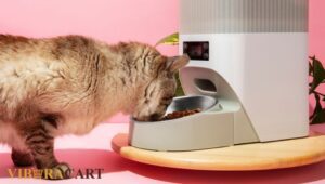 Cat Feeder for Multiple Cats