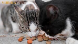 Best Grain-Free Cat Treats